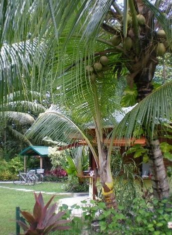 Diguoise Guest House La Digue Exteriör bild